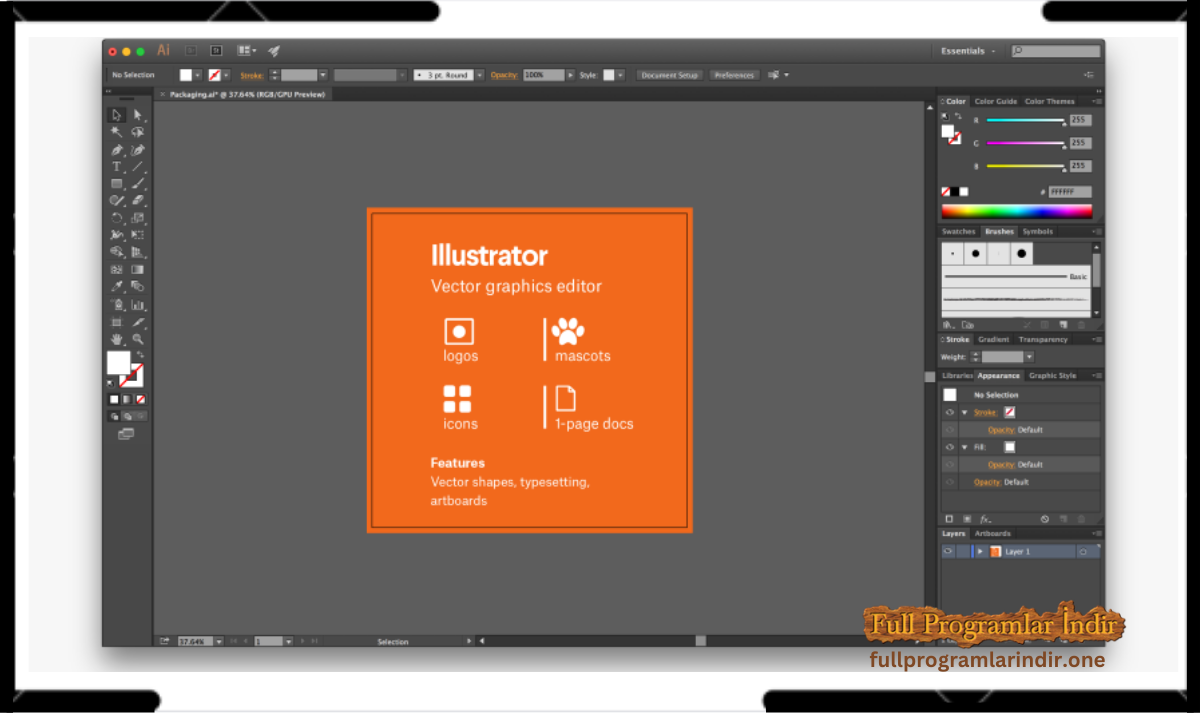 Fullprogramlarindir illustrator