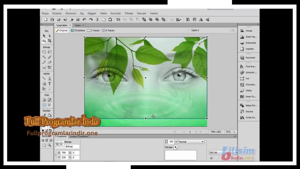 Adobe Fireworks APk